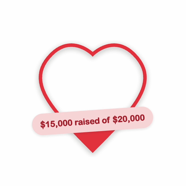 Fundraising Tracker Plugin preview