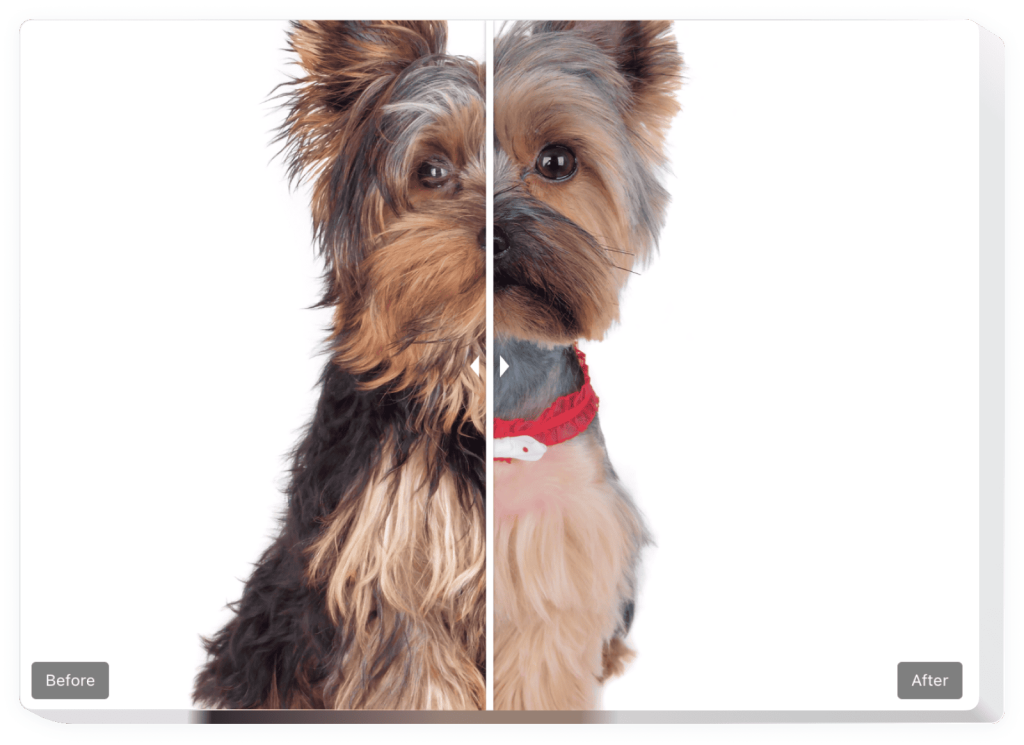 The Before and After Slider widget by Elfsight