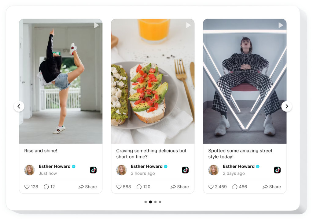 The TikTok Feed widget by Elfsight