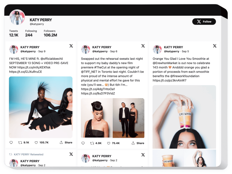 The Twitter Feed widget by Elfsight