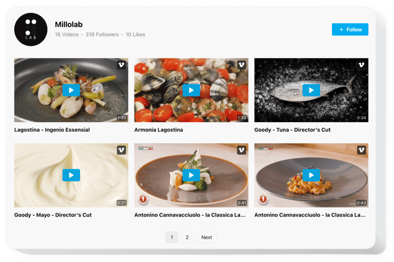 The Vimeo Gallery widget by Elfsight
