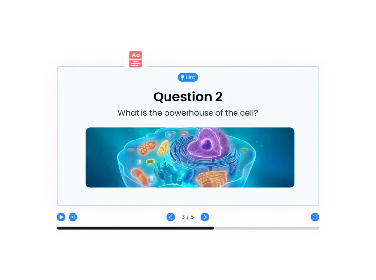 Flash Cards preview