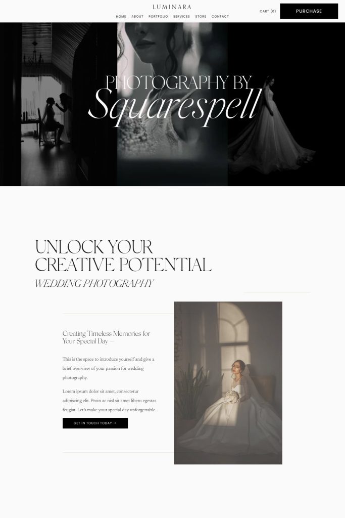 The Luminara template, shown on its live demo