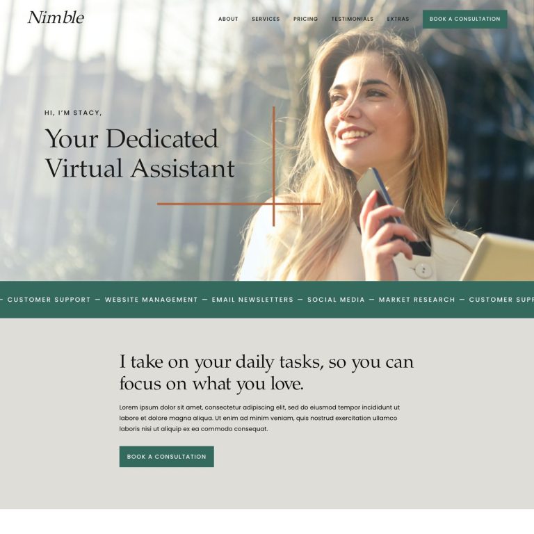 Nimble template — preview of its design