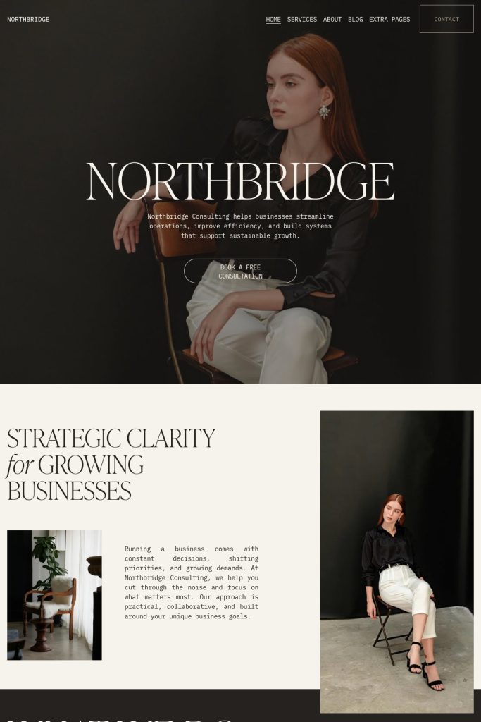 The Northbridge template, shown on its live demo