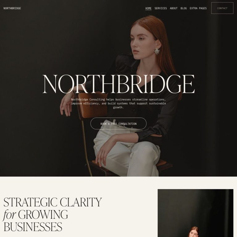 Northbridge template — preview of its design