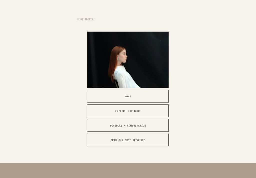 The Social Media Links page of the Northbridge template