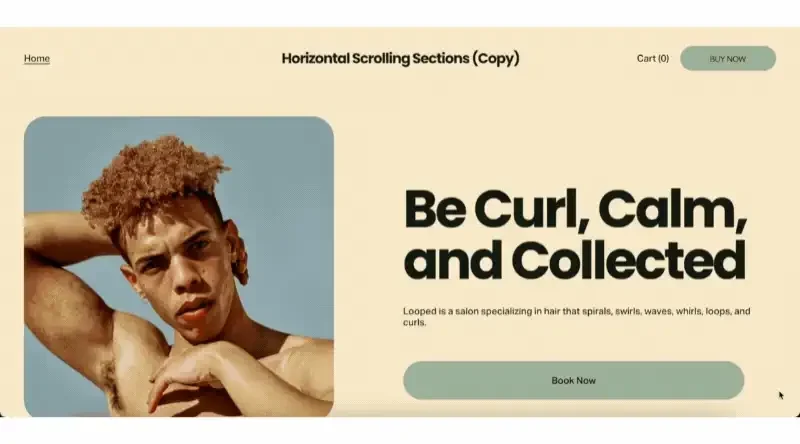 Horizontal Scrolling Sections Plugin – Multi-Use License preview