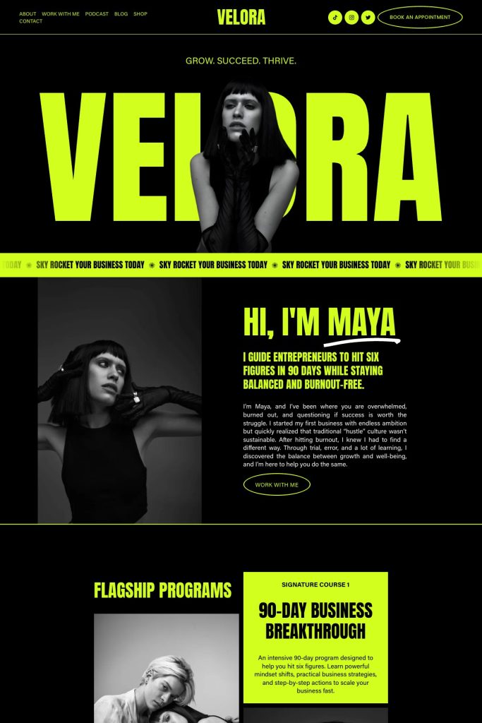 The Velora template, shown on its live demo