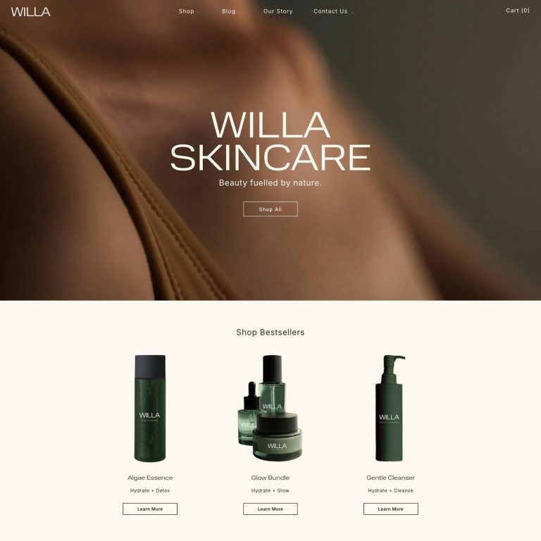 Willa template — preview of its design