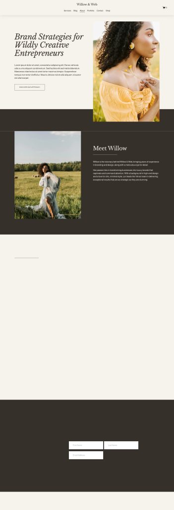 The About page of the Willow template