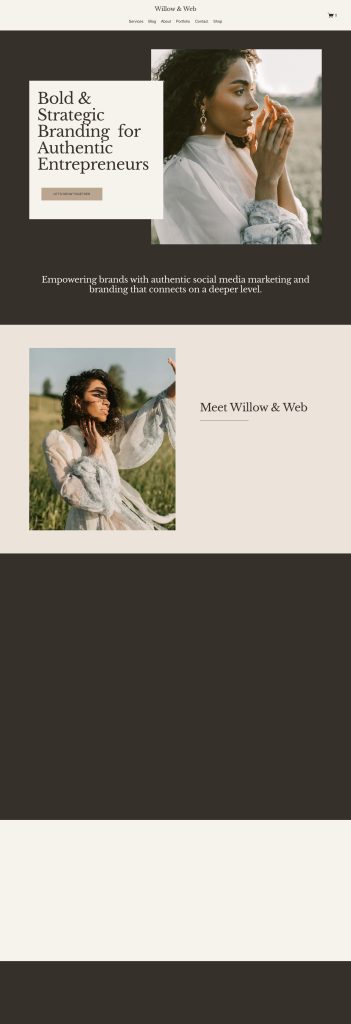 The Home page of the Willow template