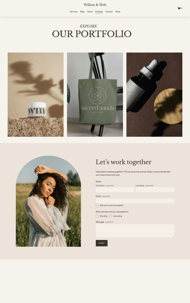 The Portfolio page of the Willow template